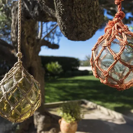 ゲストハウス Chateau De Sable キャバレール・シュル・メール